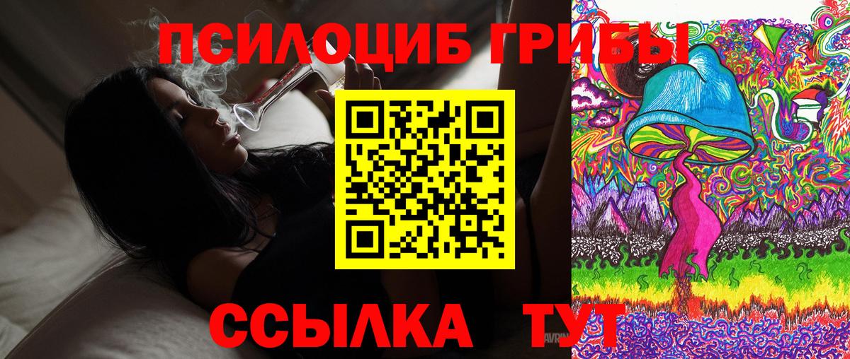 Галлюциногенные грибы Psilocybe Протвино
