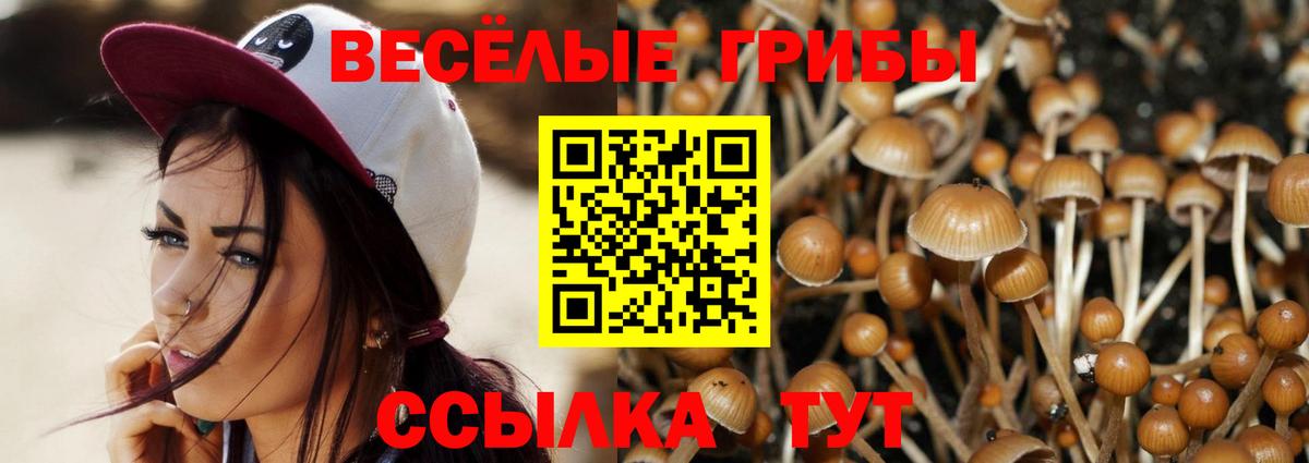 Протвино  Псилоцибиновые грибы GOLDEN TEACHER  Вход с VPN 